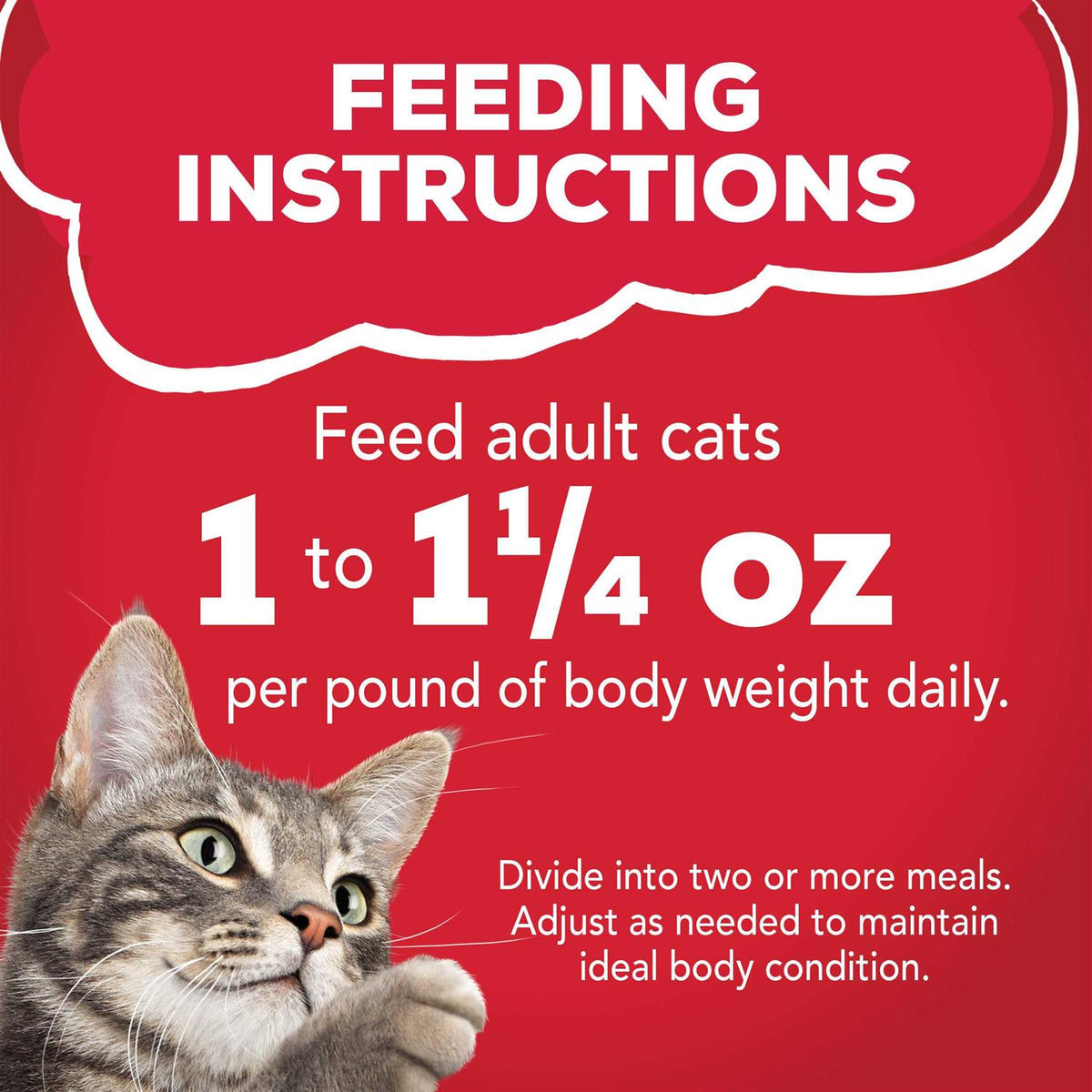 Beef Wet Cat Food O964