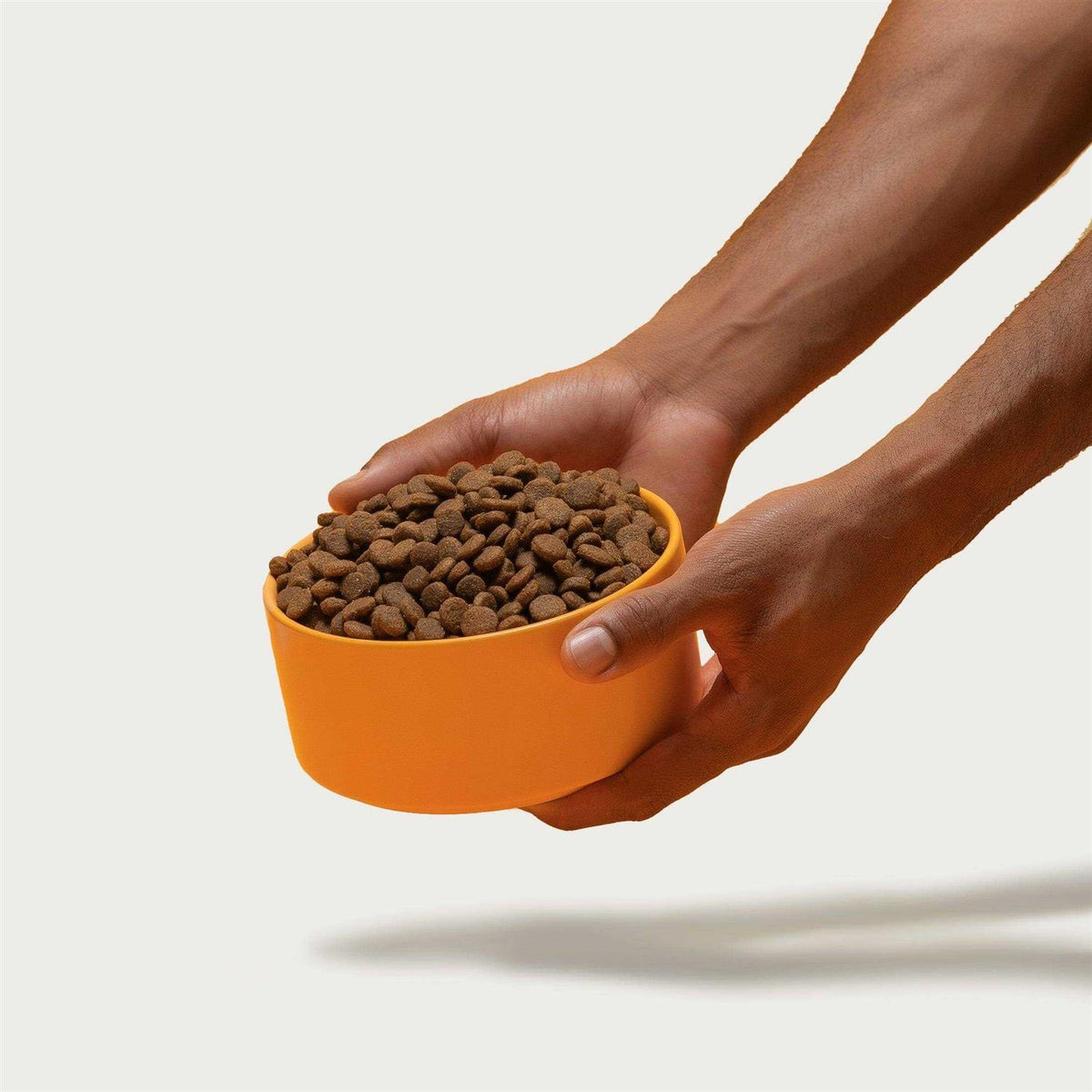 Brown Rice & Sweet Potato Dry Dog Food B144716