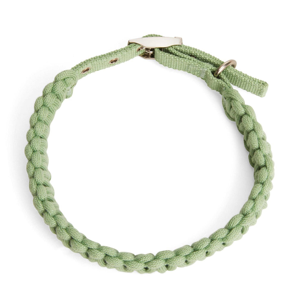 Macrame Dog Collar T35603