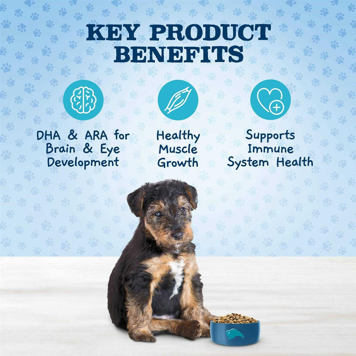 Chicken and Brown Rice Puppy Dry Dog Food M4192