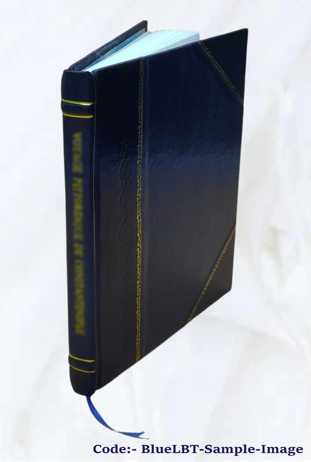 The immaculate perception F19454