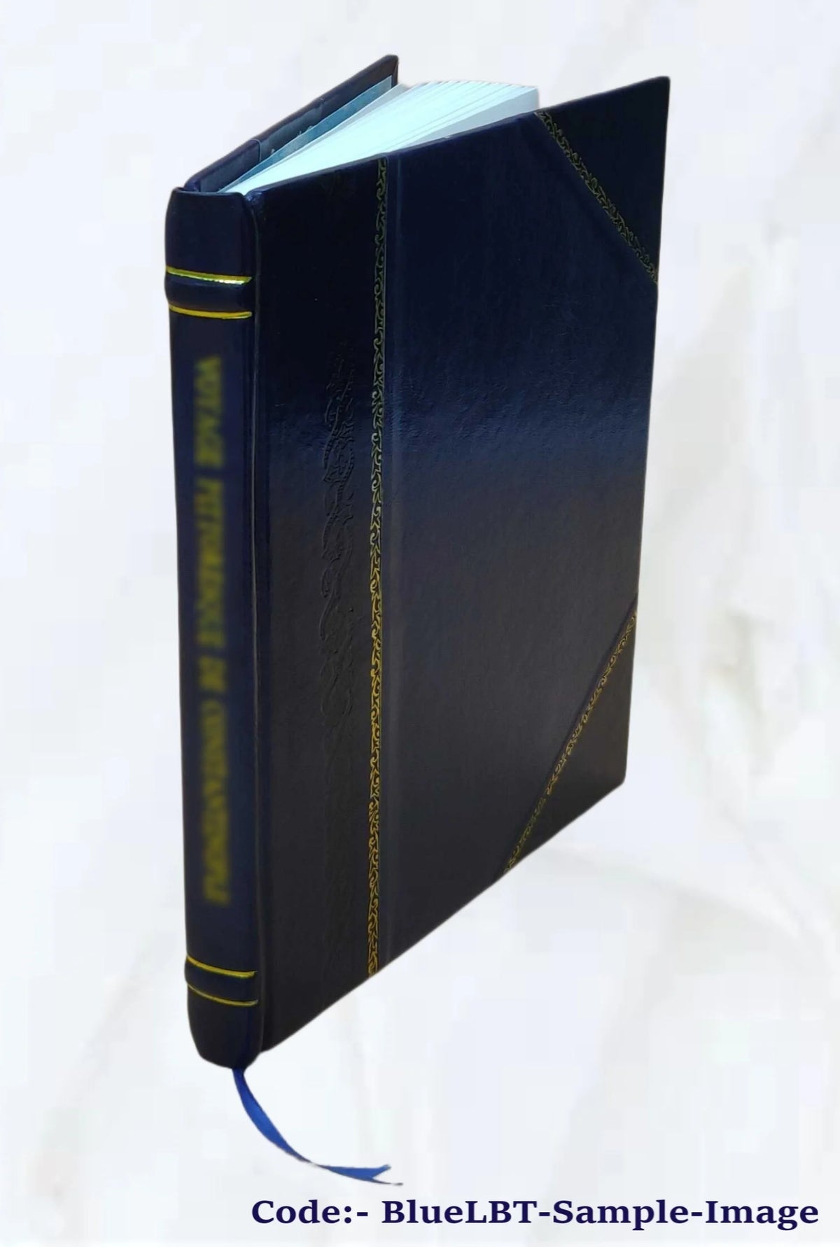 The immaculate perception F19454