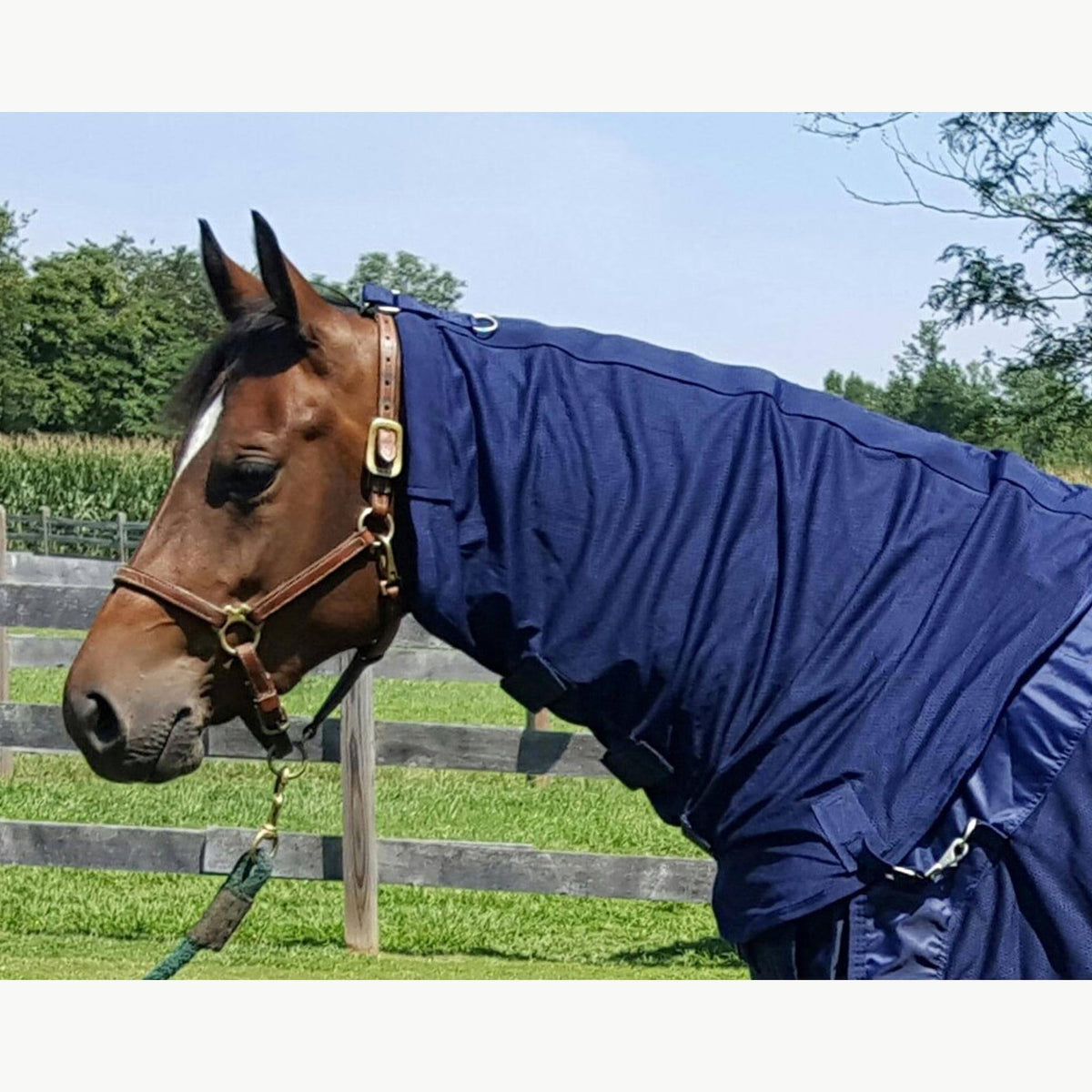 Mesh Horse Neck Cover M1483