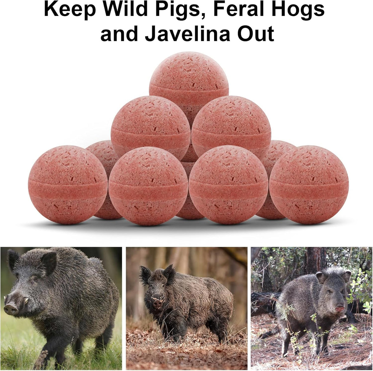 10 Pack All Natural Wild Pig Repellent Y727