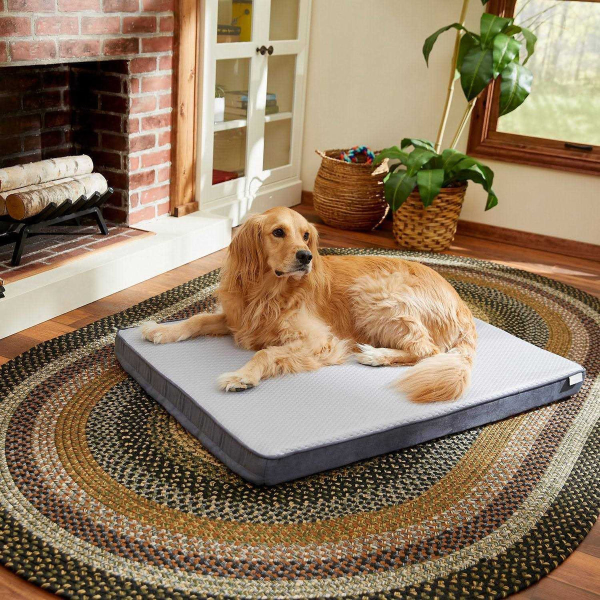 Large Cooling Orthopedic Dog Bed with Removable Cover K23977