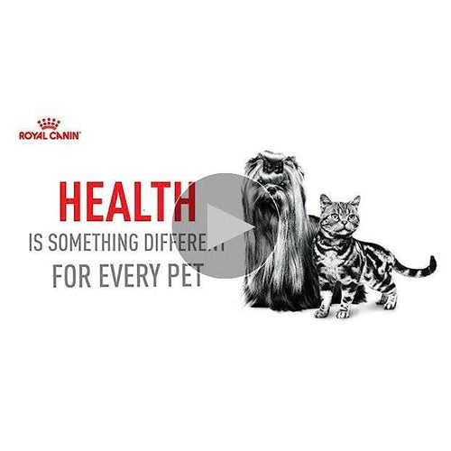 12+ Dry Dog Food T402