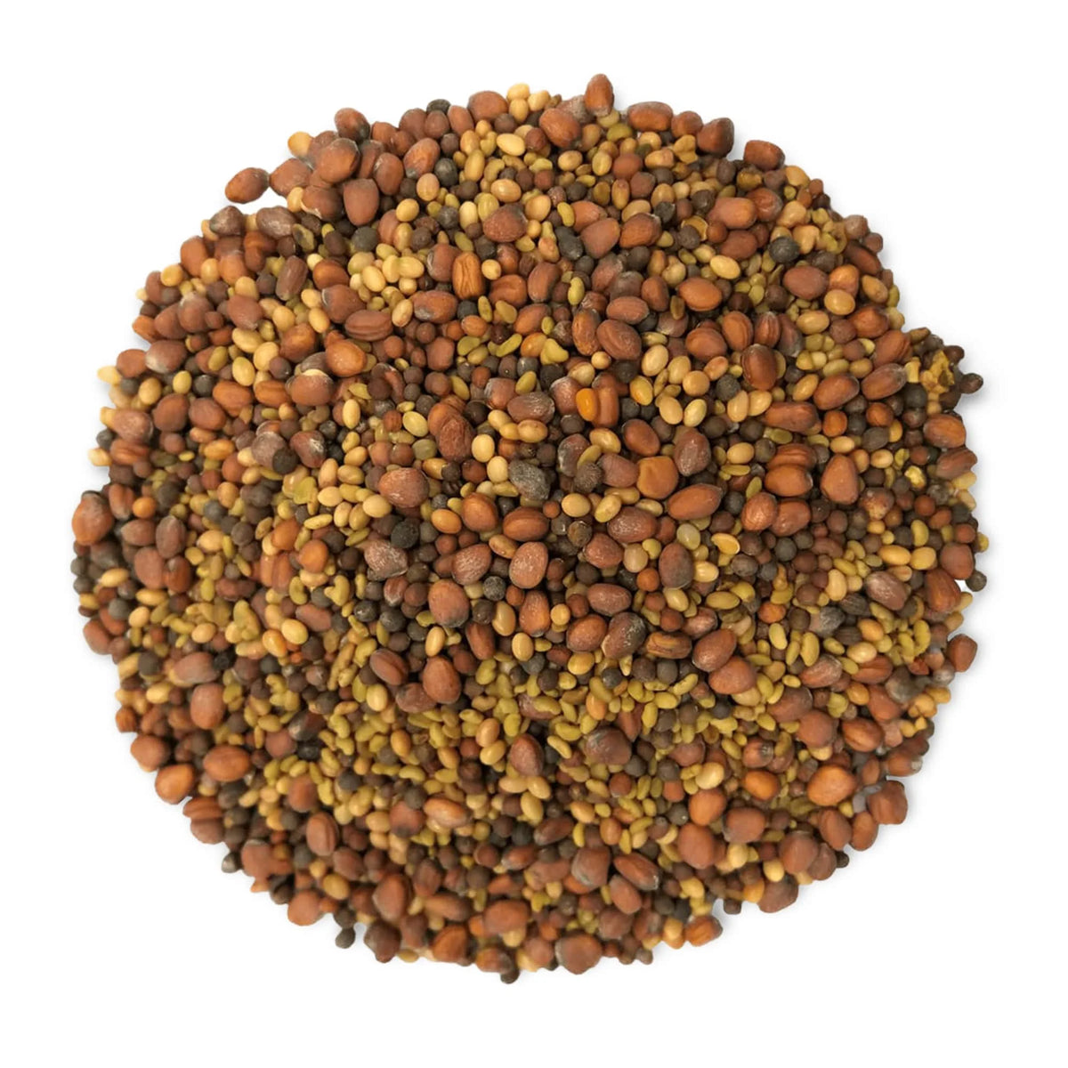 5 Pounds Sprouting Seeds Salad Mix J623418