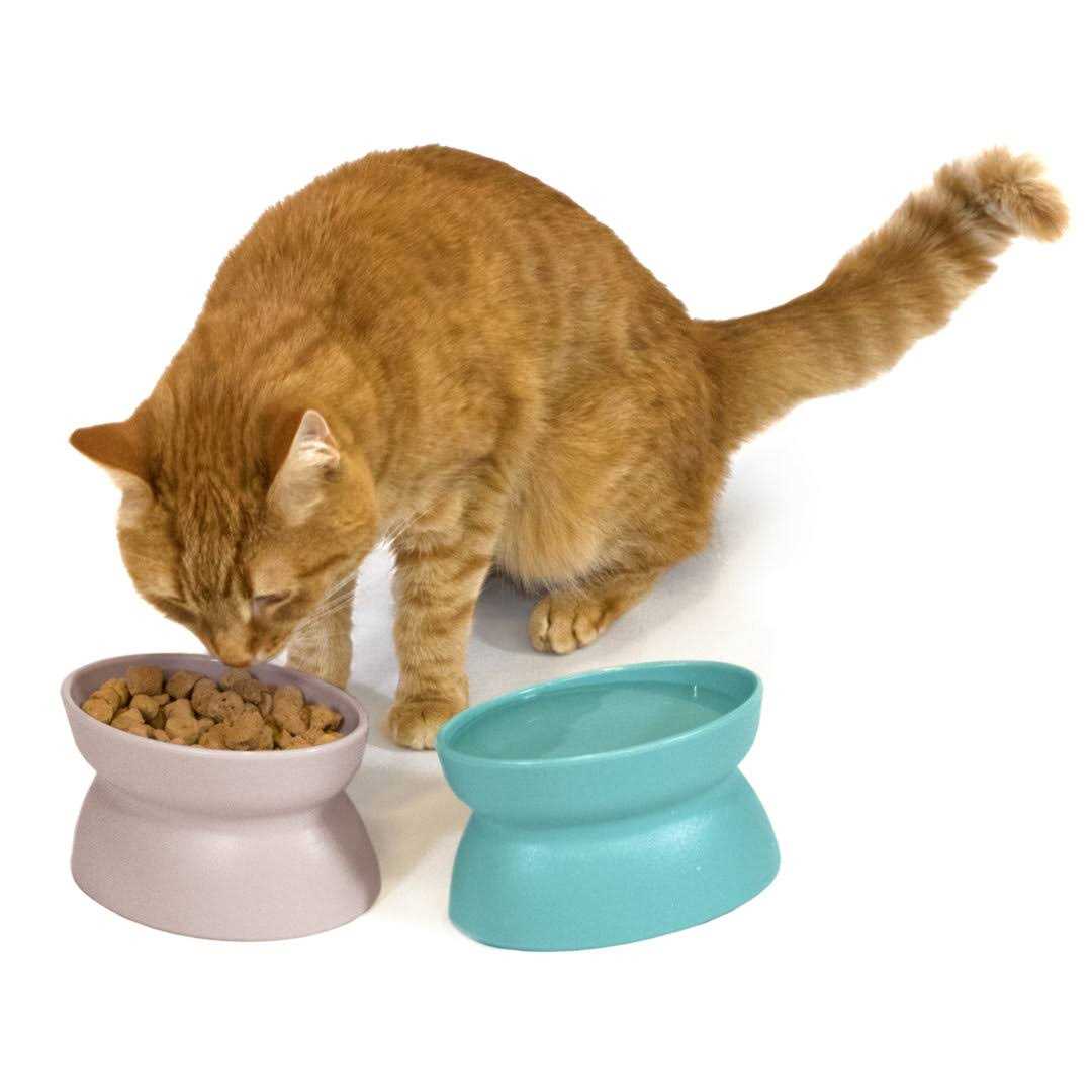 Raised Cat Food Bowl P493