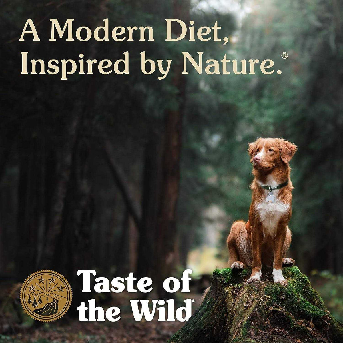 Dog Food I4531