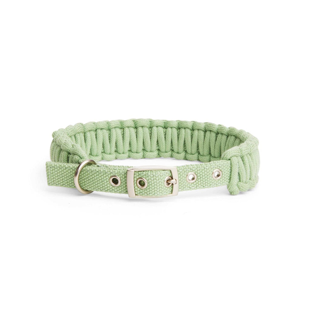 Macrame Dog Collar T35603