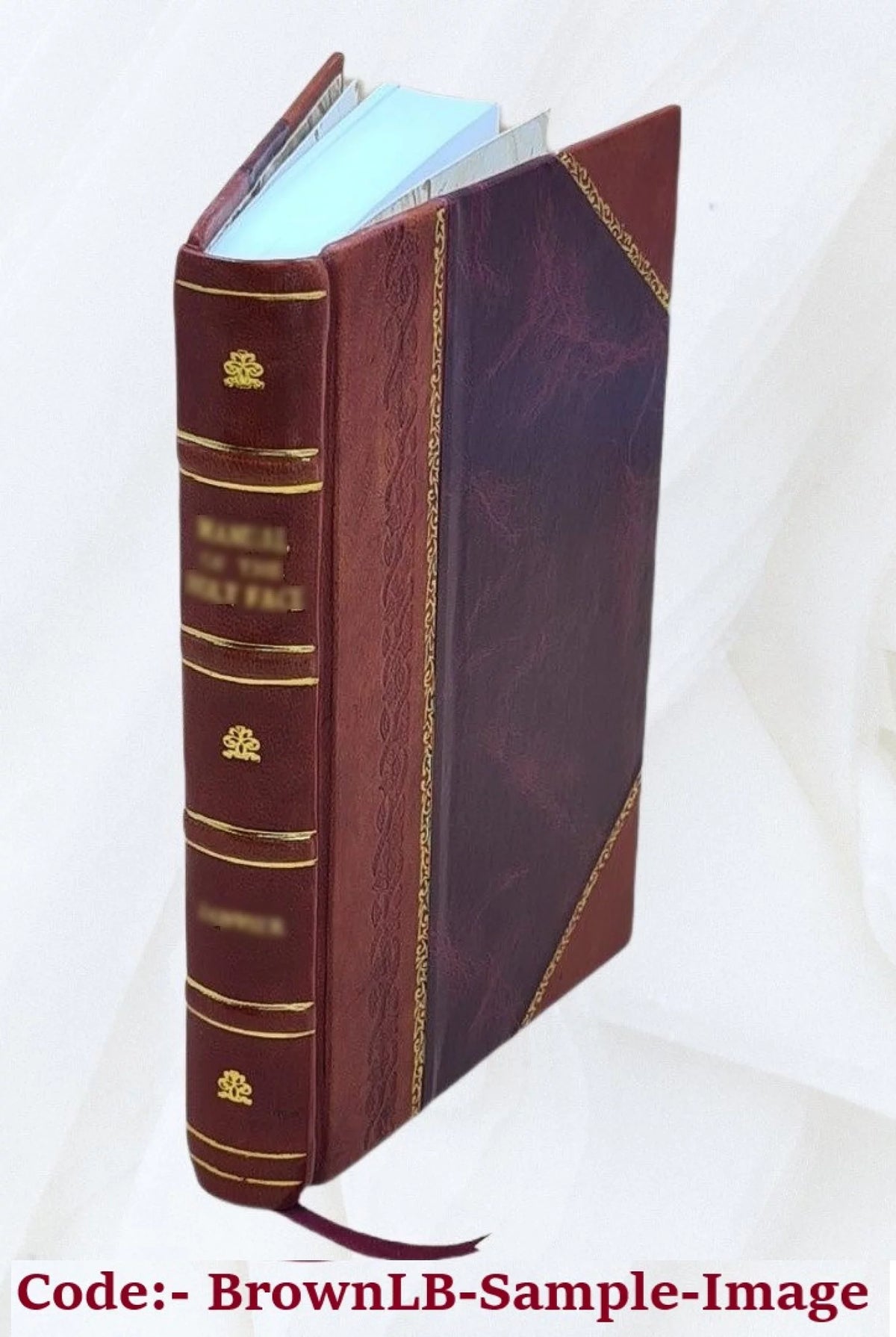 Leather Bound Book B47861