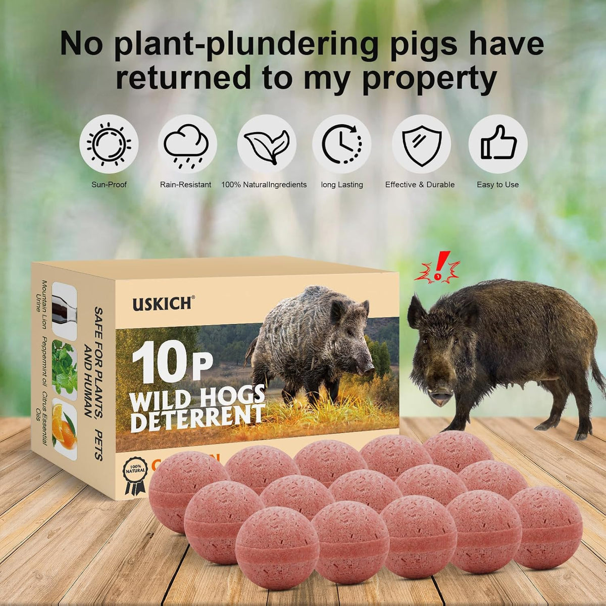 10 Pack All Natural Wild Pig Repellent Y727