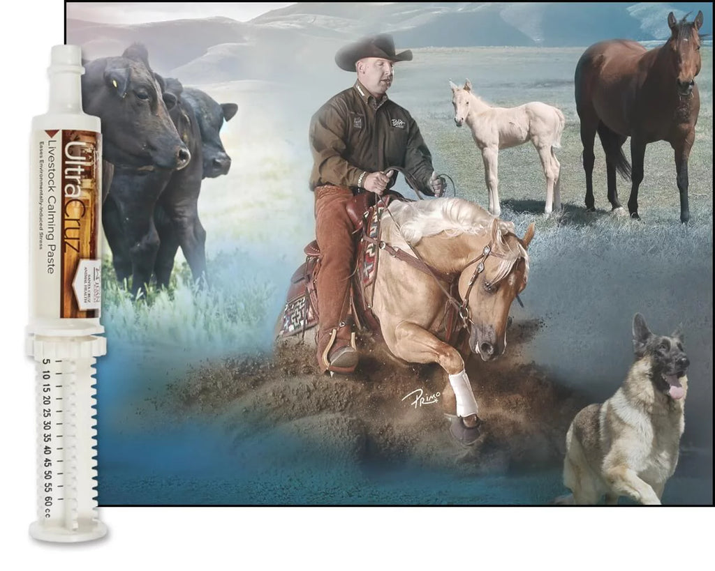 Livestock Calming Supplement 60 ml Paste 6/Pack M5923