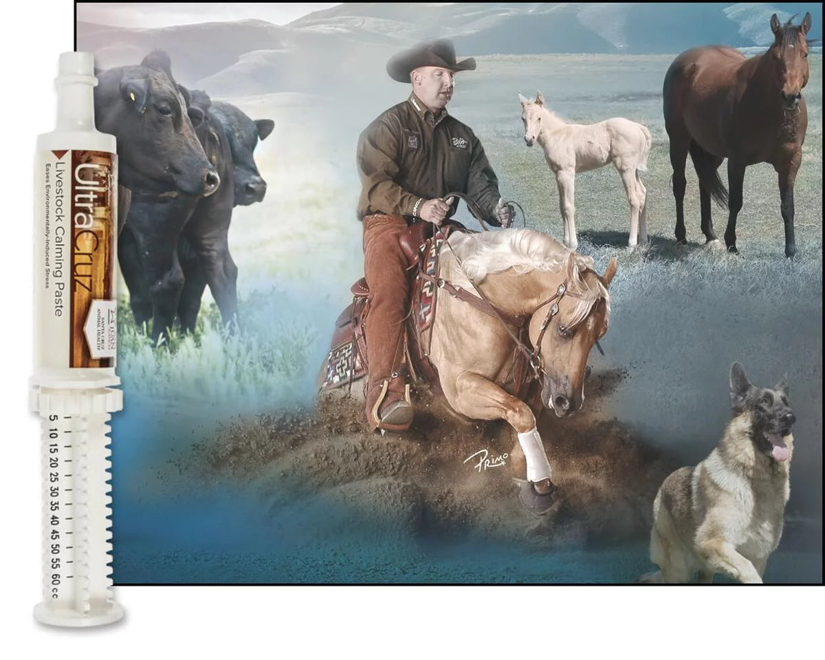 Livestock Calming Supplement 60 ml Paste 6/Pack M5923