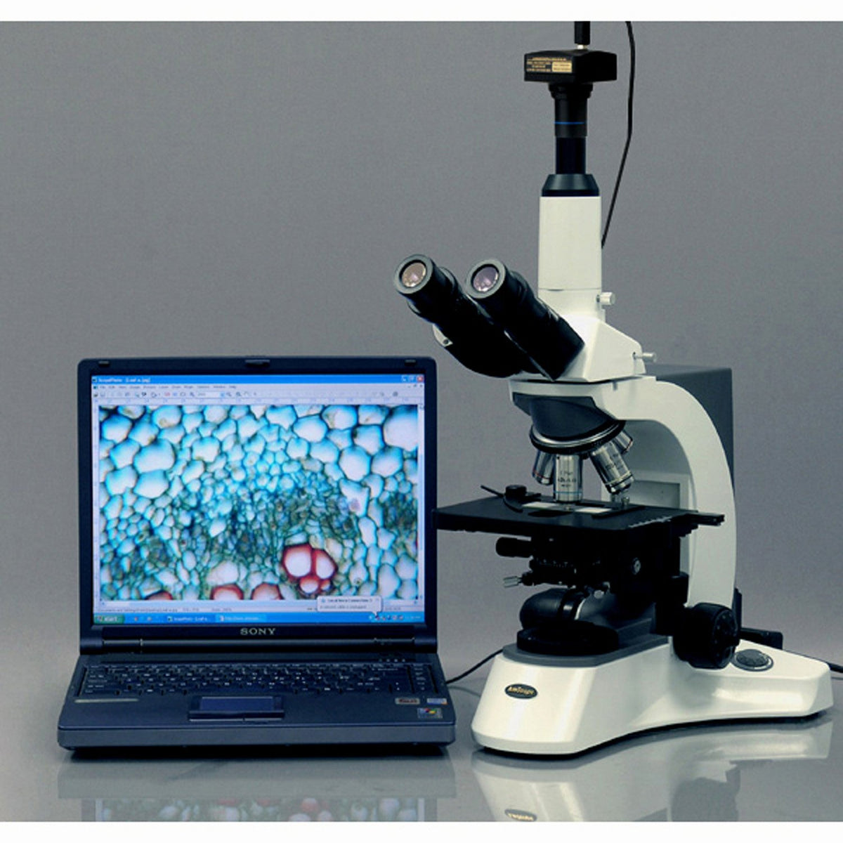 18MP USB3.0 Digital Microscope Camera Y8137