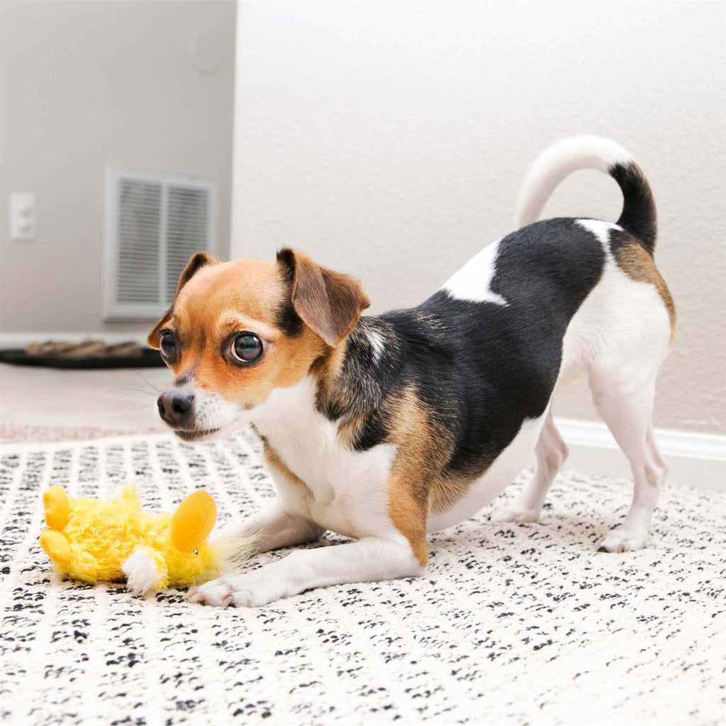 Duck Plush Dog Toy D8474