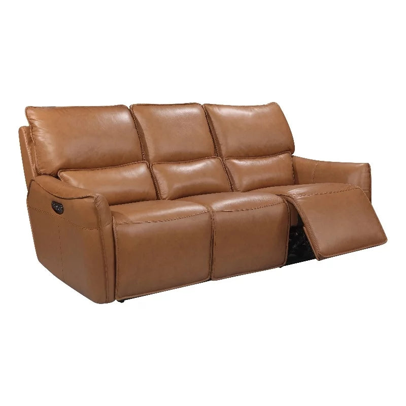 Desert Brown Leather & Hardwood Sofa E140816