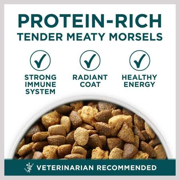 Large Breed Dry Puppy Food B975503