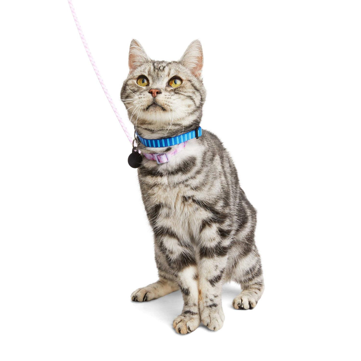 Kitten Harness & Lead C75739
