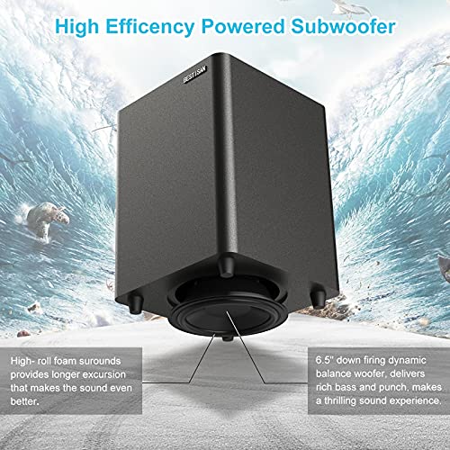 Powered Subwoofer with Coaxial Cable B991