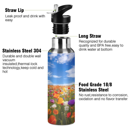 20 oz Insulated Stainless Steel Kids Water Bottle with Straw Lid L1949