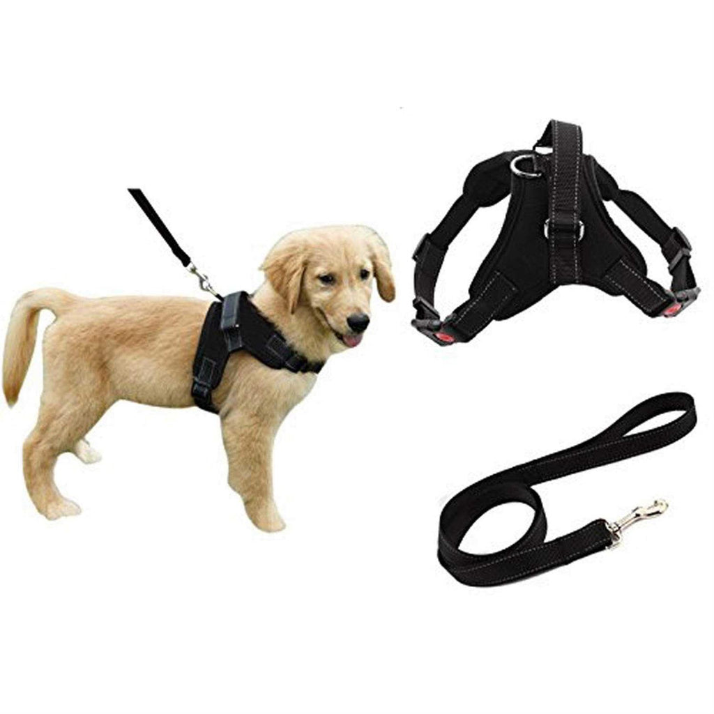 Adjustable Reflective No-Pull Padded Dog Harness with Leash Set F35156