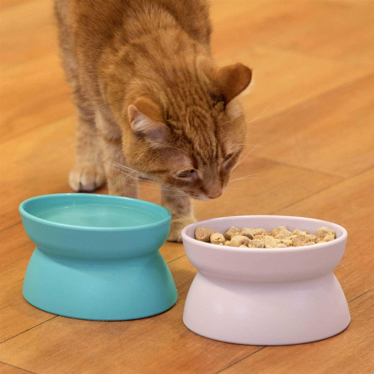 Raised Cat Food Bowl P493