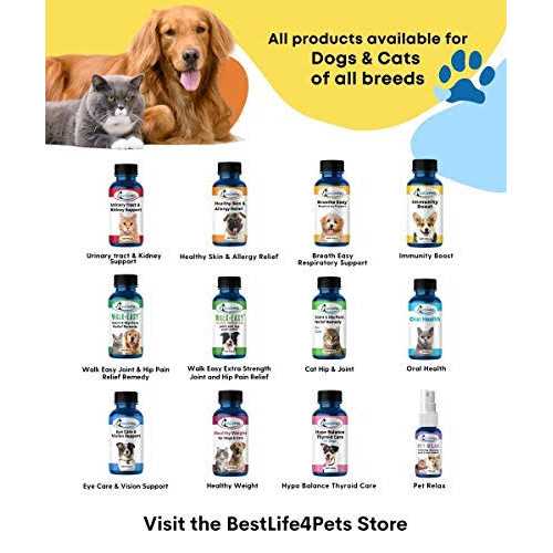 All-Natural Skin and Allergy Relief For Cats Z351527