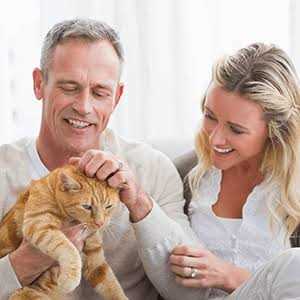 All-Natural Skin and Allergy Relief For Cats Z351527