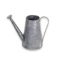 Water Can Set of 2 Metal E590392