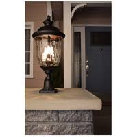 Bronze 3-Light Outdoor Hanging Lantern E90892