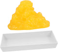 1-Pound Fat Model with Base V655015