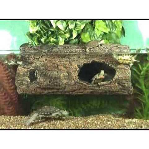 Floating Aquarium Log W854036