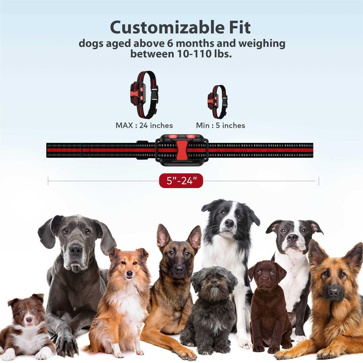Remote Dog Training Shock Collar System N30426