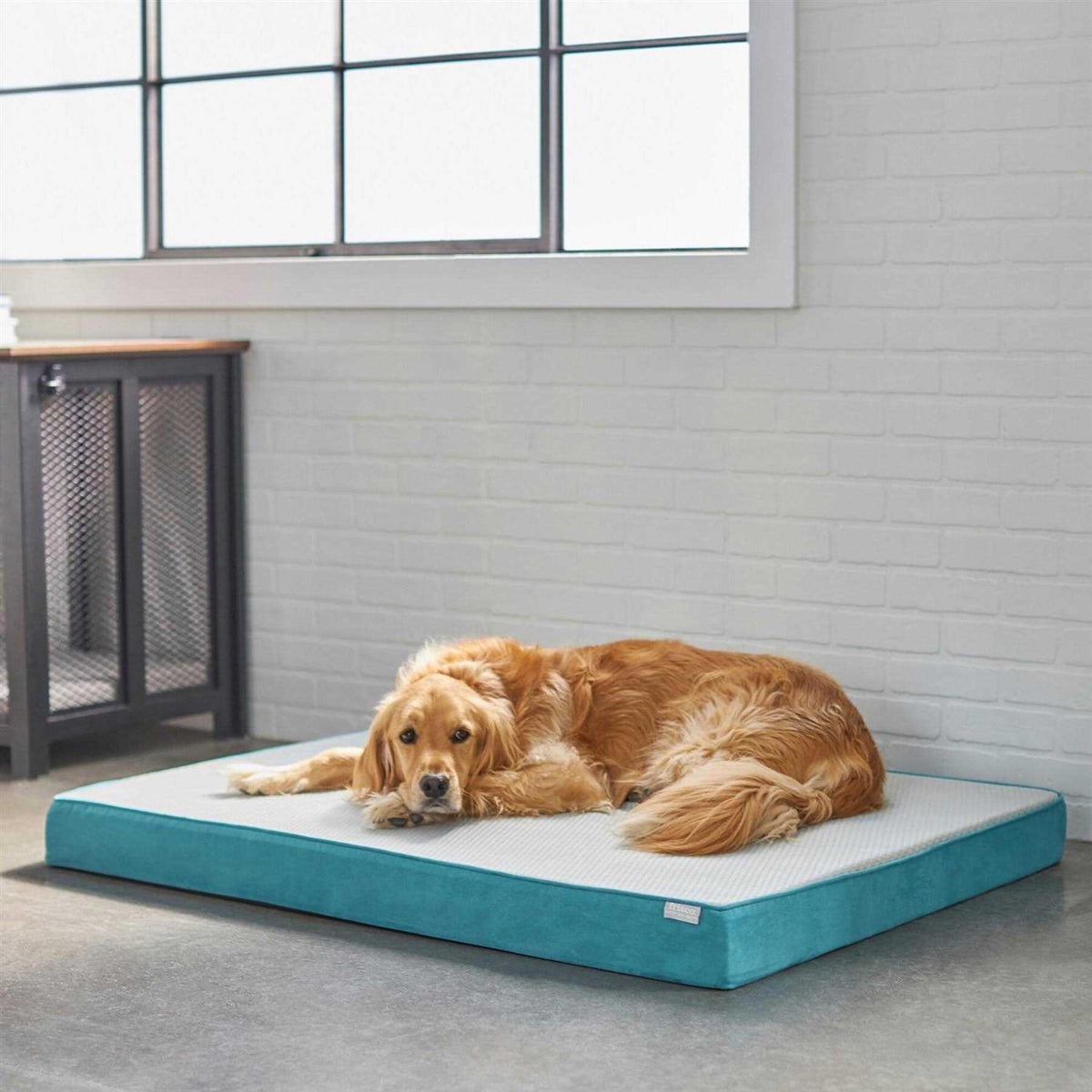 Large Cooling Orthopedic Dog Bed with Removable Cover K23977