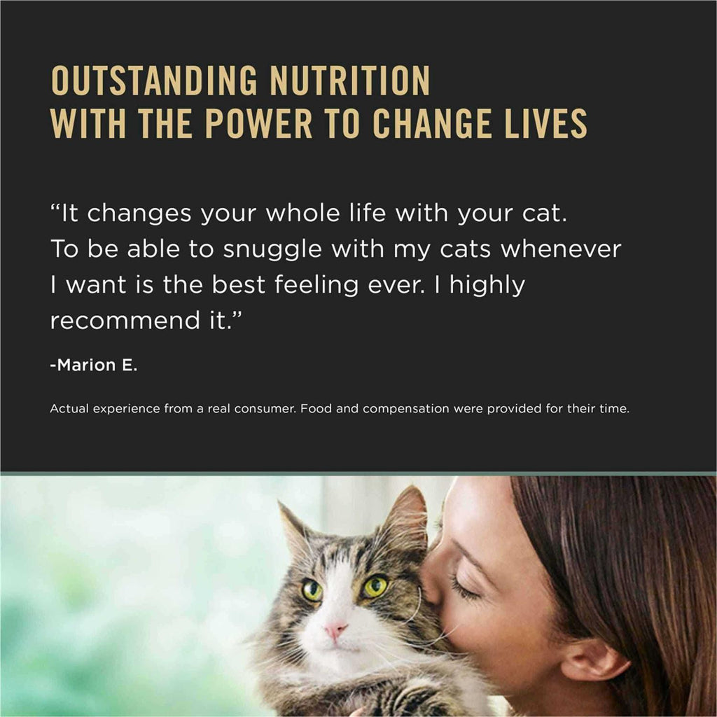 Rice Dry Cat Food W4787