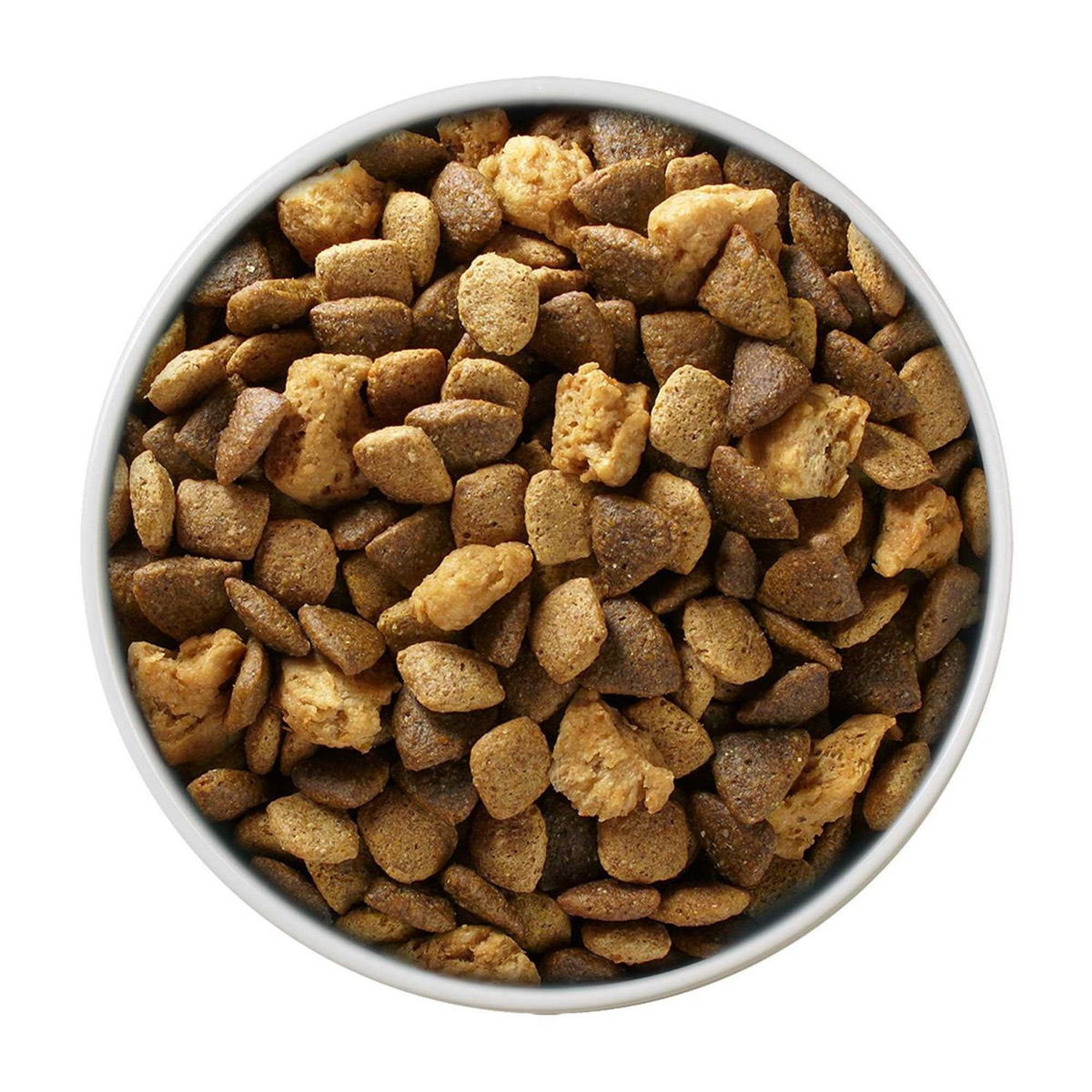 Large Breed Dry Puppy Food B975503