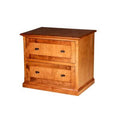 2-Drawer Lateral Filing Cabinet Golden Oak W710771