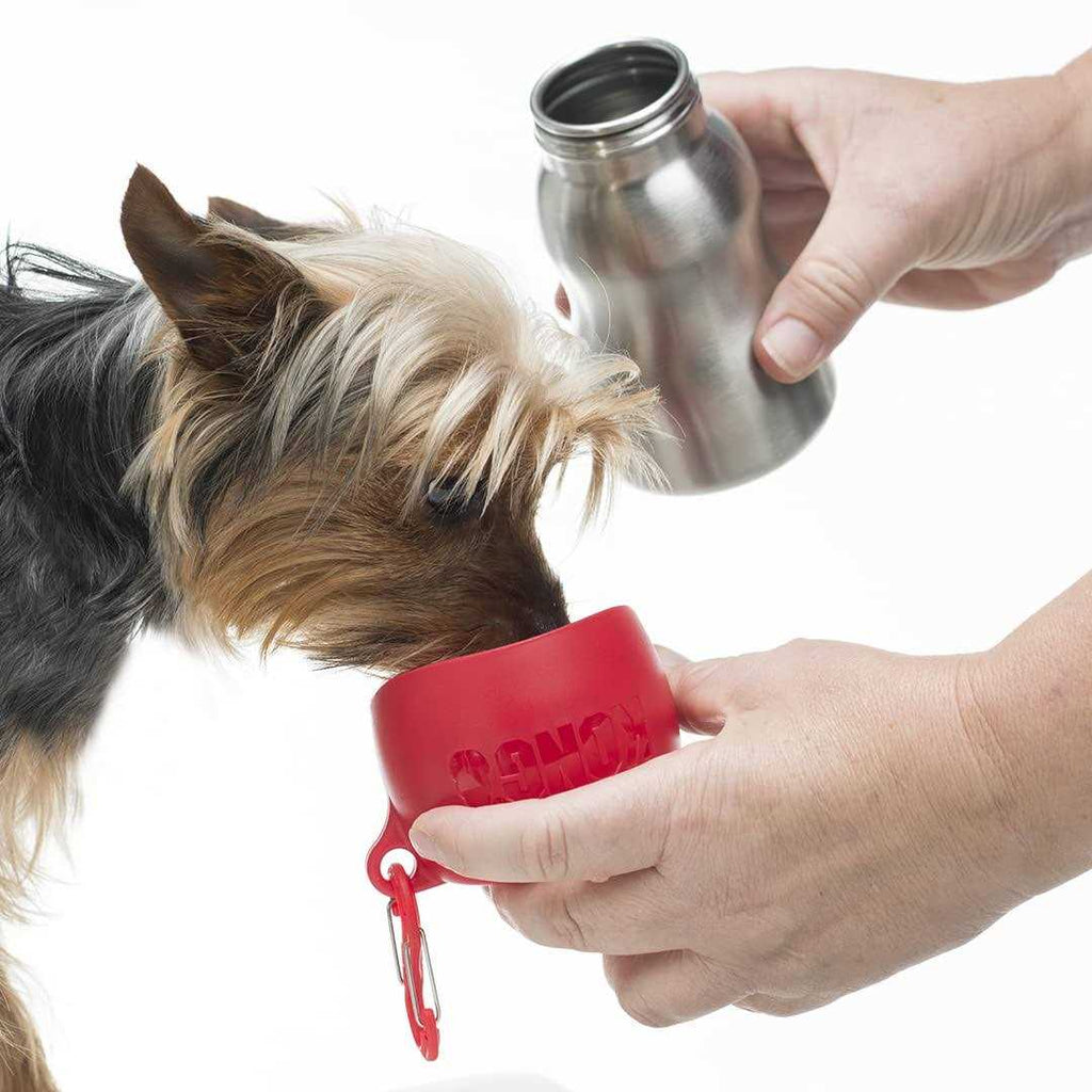 Stainless Steel Dog Water Bottle V93143