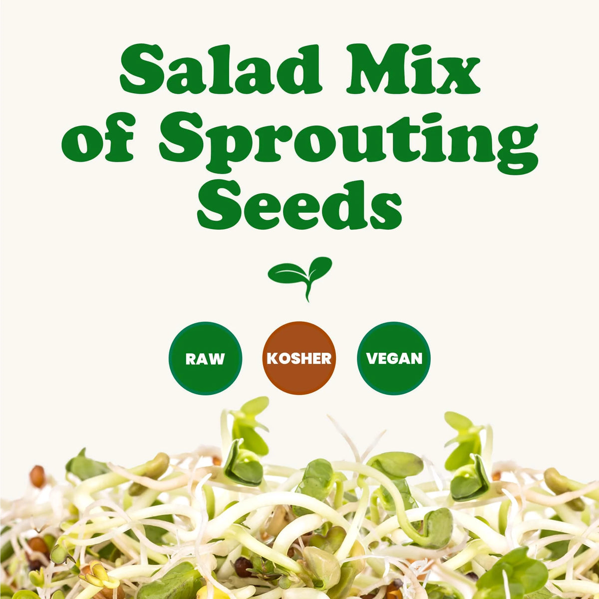 5 Pounds Sprouting Seeds Salad Mix J623418