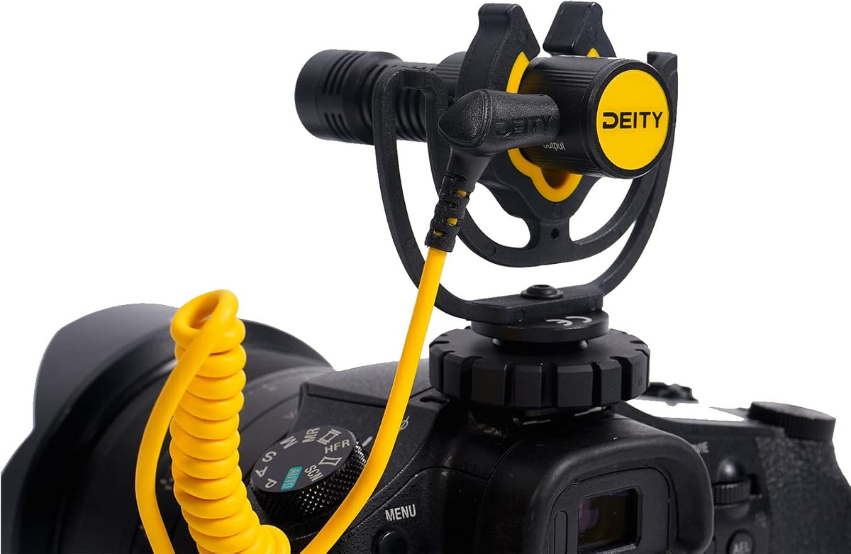 Pack of 2 Video Microphone M902675