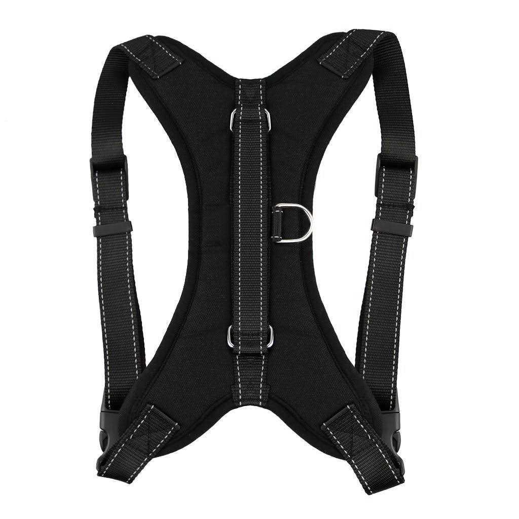 Adjustable Reflective No-Pull Padded Dog Harness with Leash Set F35156