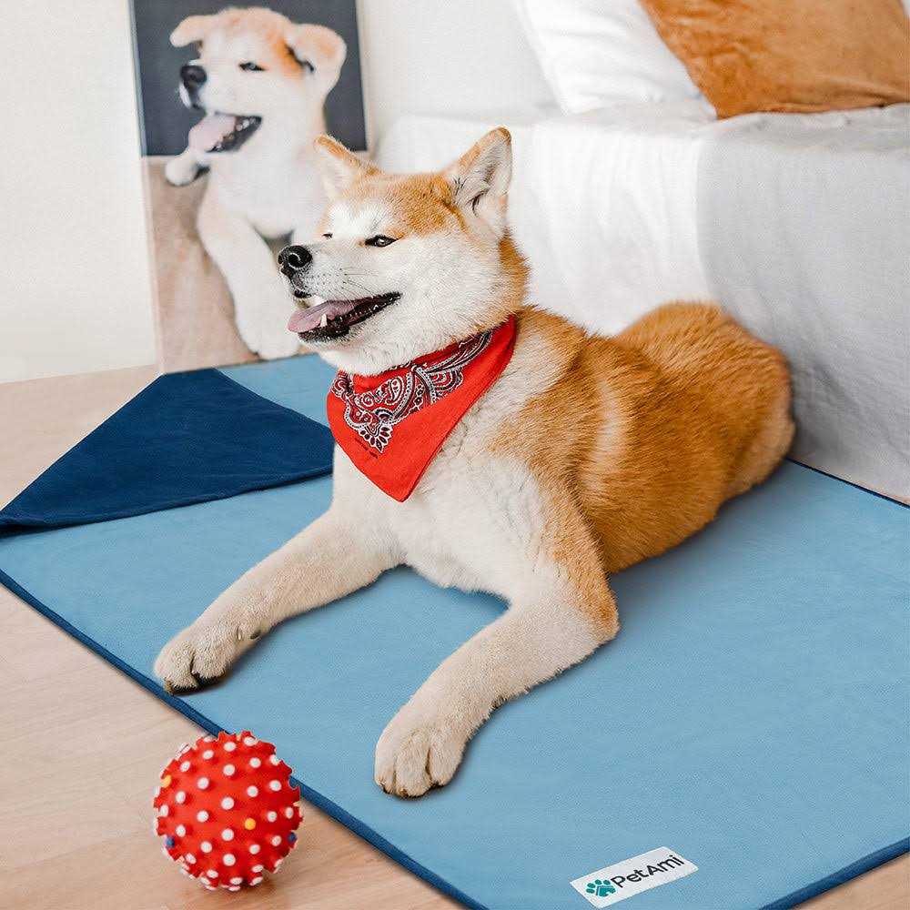 Waterproof Dog Cat Couch Cover L158722
