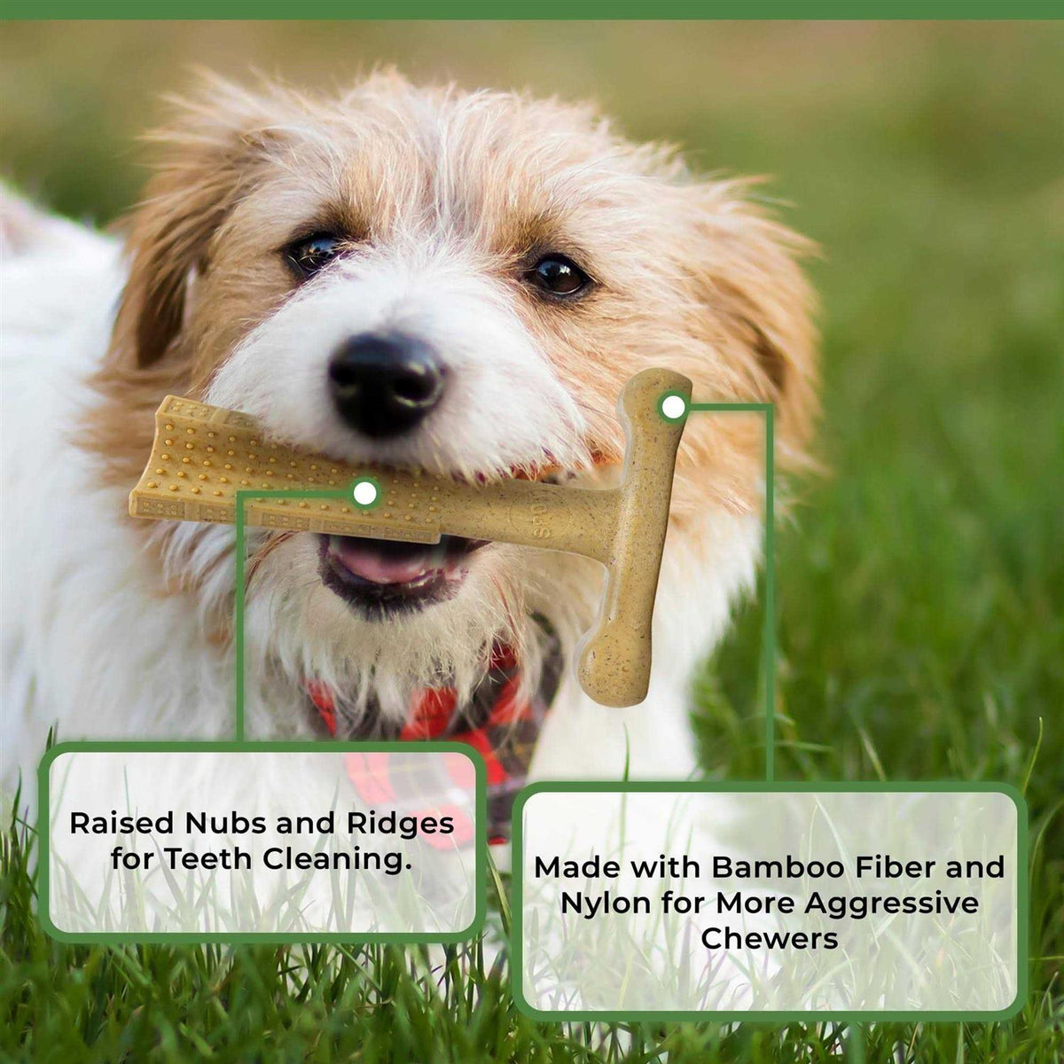 6-inch Chicken Dog Chew Z623