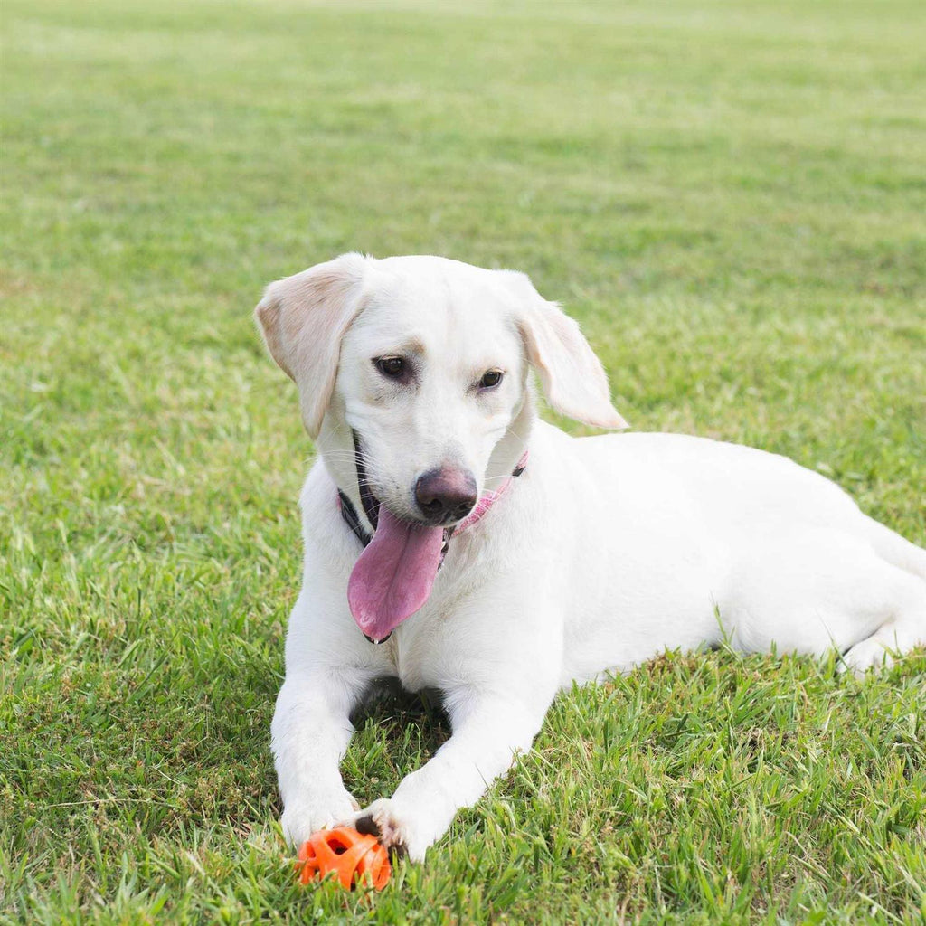 Breathe Right Fetch Ball M3240