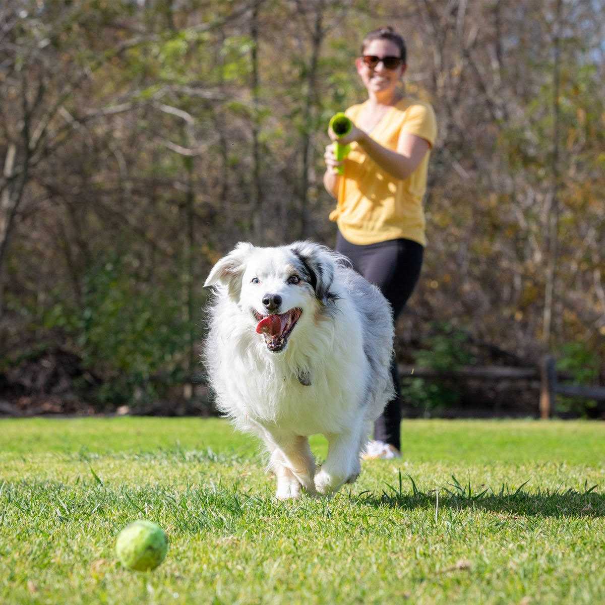 K9 Ball Launcher Y997678