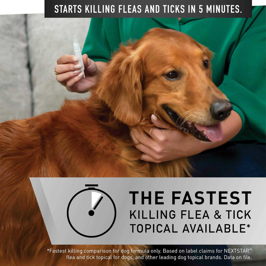 Flea & Tick Topical Treatment for Large Dogs F650409