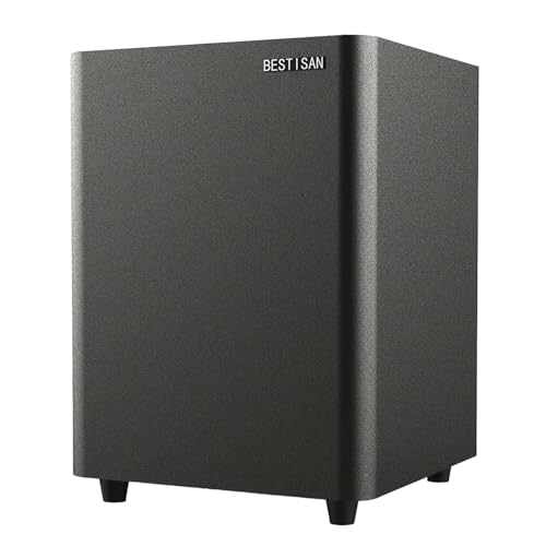 Powered Subwoofer with Coaxial Cable B991