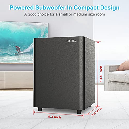 Powered Subwoofer with Coaxial Cable B991
