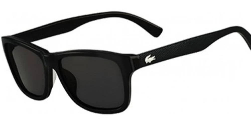 Black Sunglasses L313519